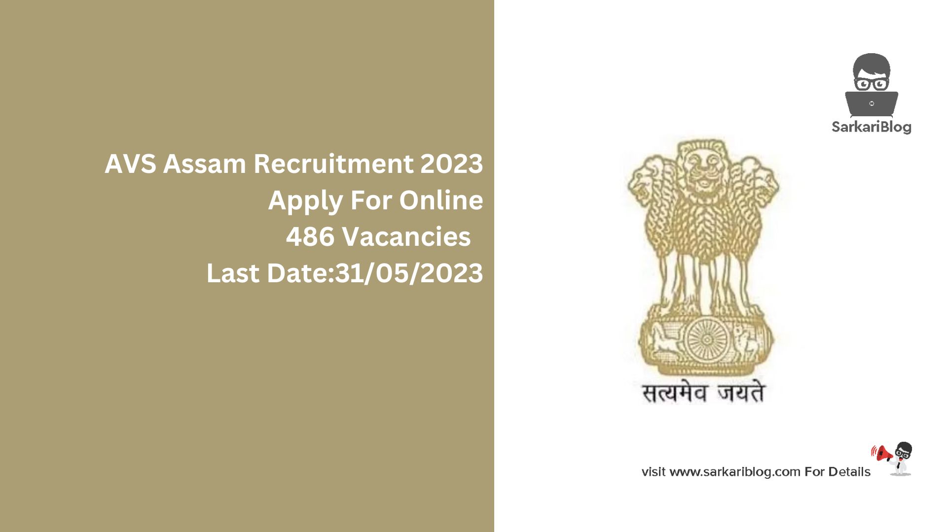 AVS Assam Recruitment 2023