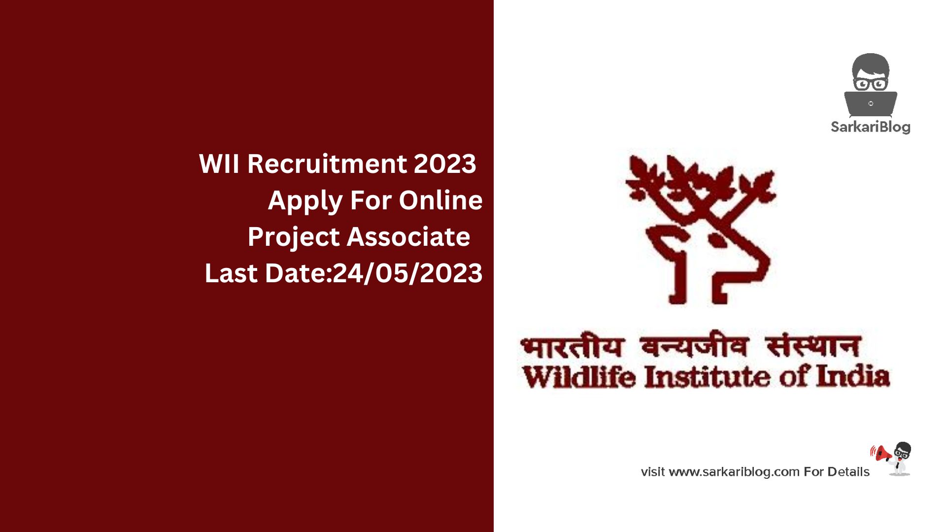 WII Recruitment 2023