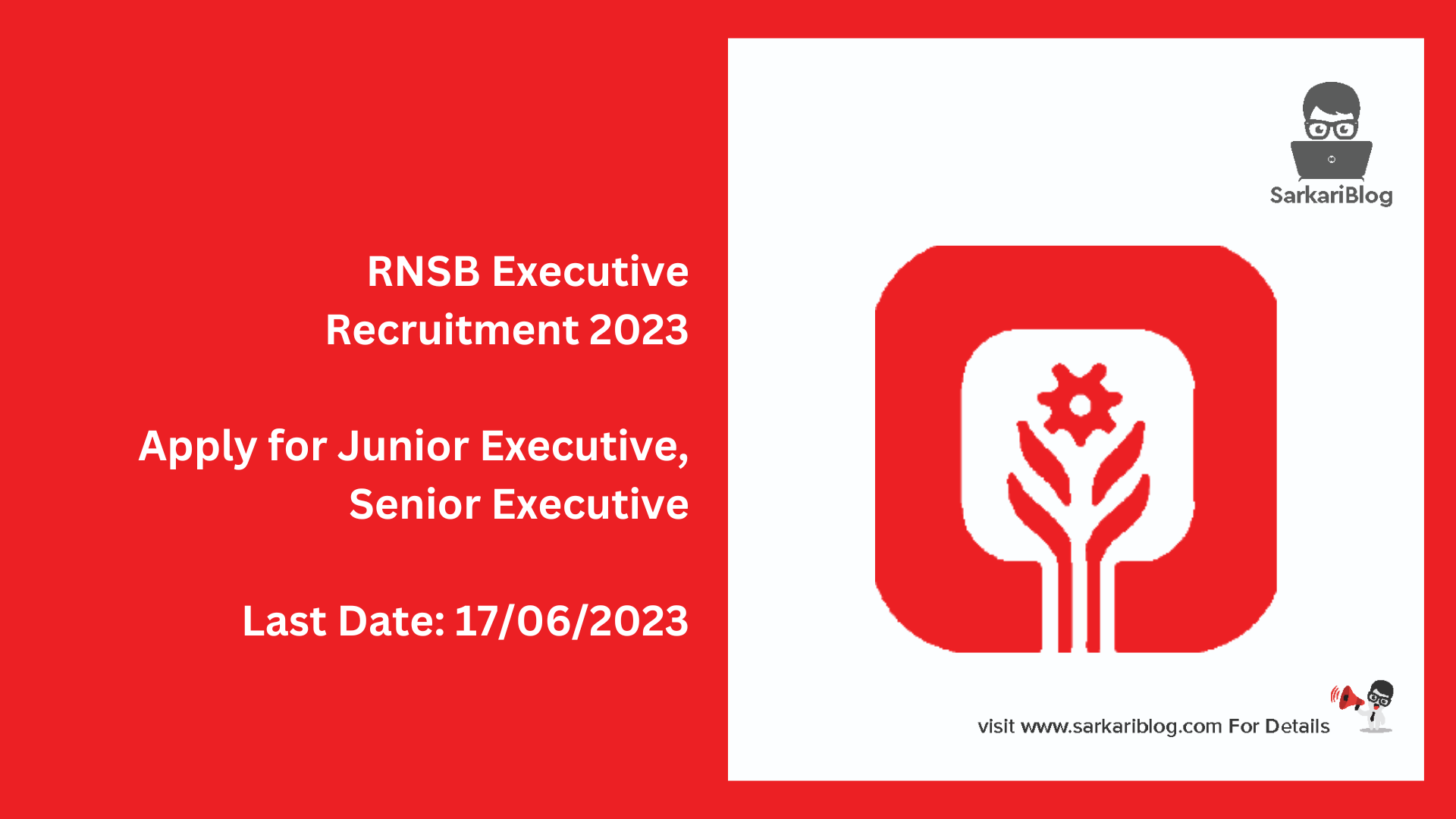 RNSB Executive Recruitment 2023